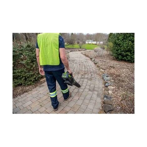 מפוח עלים 99752/1 Greenworks למכירה , 4 image