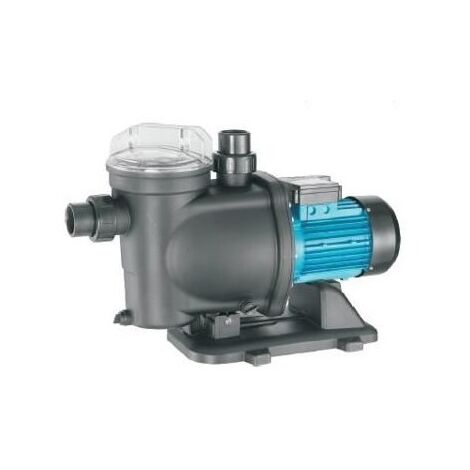 משאבה 1000163 PoolMaster למכירה , 2 image