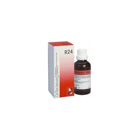 Dr. Reckeweg R24 22ml למכירה , 2 image