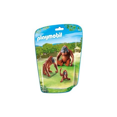 פליימוביל 6648 משפחת אורנאוטן למכירה 