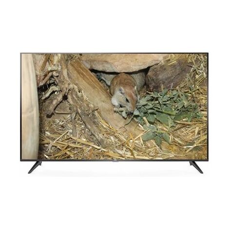 טלוויזיה TCL L55P65US 4K  55 אינטש למכירה , 2 image