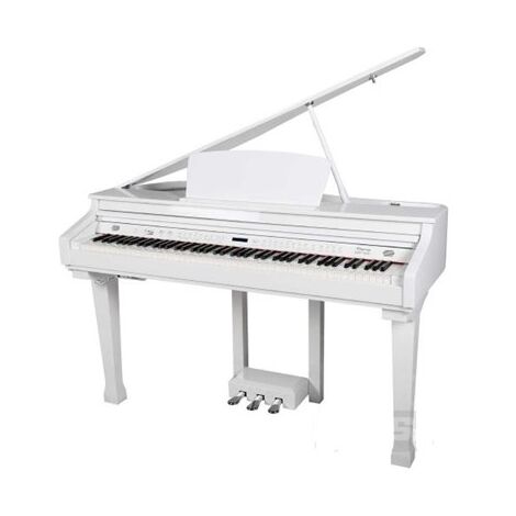 פסנתר כנף חשמלי Artesia DG26 למכירה , 2 image