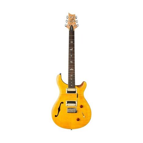 גיטרה חשמלית PRS SE Custom 22 - Semi-Hollow למכירה , 2 image