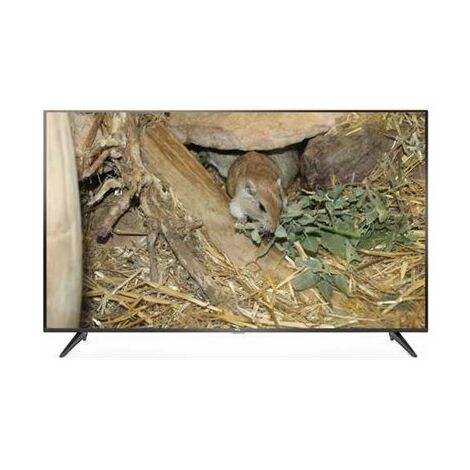 טלוויזיה TCL L65P65US 4K  65 אינטש למכירה , 3 image