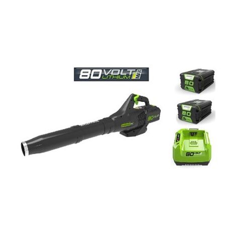 מפוח עלים 99752 Greenworks למכירה , 2 image