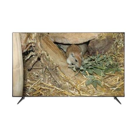 טלוויזיה TCL L50P65US 4K  50 אינטש למכירה , 3 image