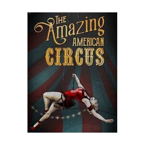 The Amazing American Circus - The Ringmaster’s Edition למכירה , 2 image