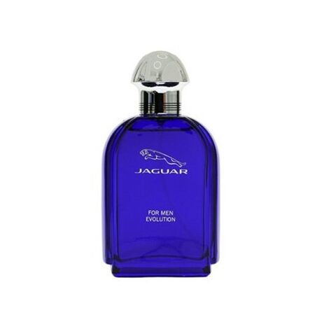 בושם לגבר Jaguar Evolution 100ml EDT למכירה , 2 image