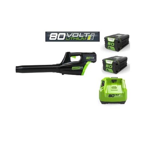 מפוח עלים 99552/2 Greenworks למכירה , 2 image