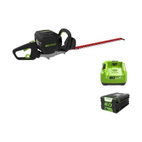גוזם גדר חיה 99768 Greenworks למכירה 