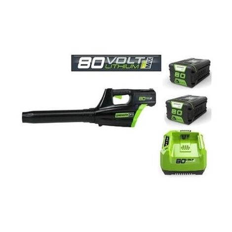 מפוח עלים 99753 Greenworks למכירה , 2 image