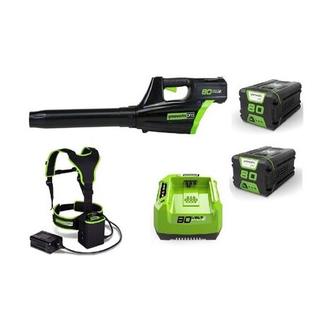 מפוח עלים 99752/6 Greenworks למכירה 