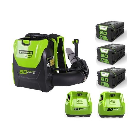 מפוח עלים 99752/3.1 Greenworks למכירה , 2 image