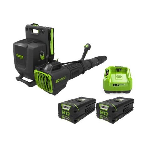 מפוח עלים 99769 Greenworks למכירה , 2 image