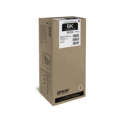 ראש דיו Epson C13T973100 אפסון למכירה , 2 image
