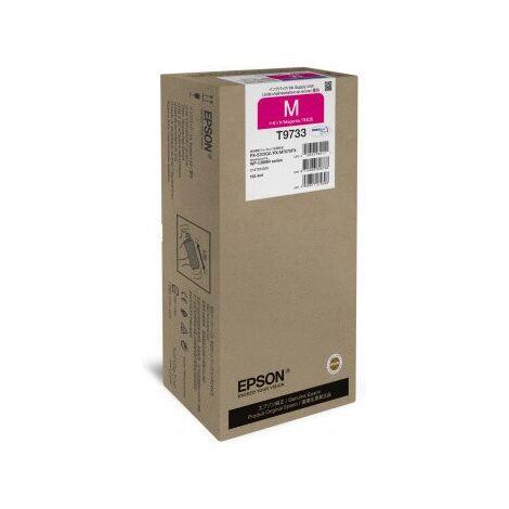 ראש דיו Epson C13T973300 אפסון למכירה , 2 image