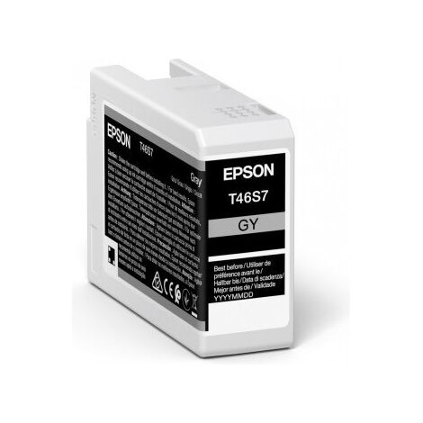 T46S7 GR C13T46S700 Epson אפסון למכירה , 2 image