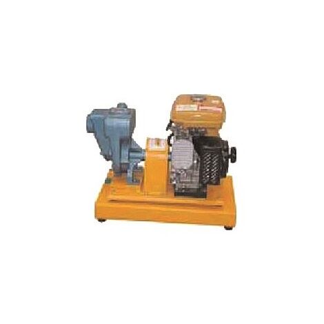 משאבות Shatal 02RA NM21258 למכירה , 2 image