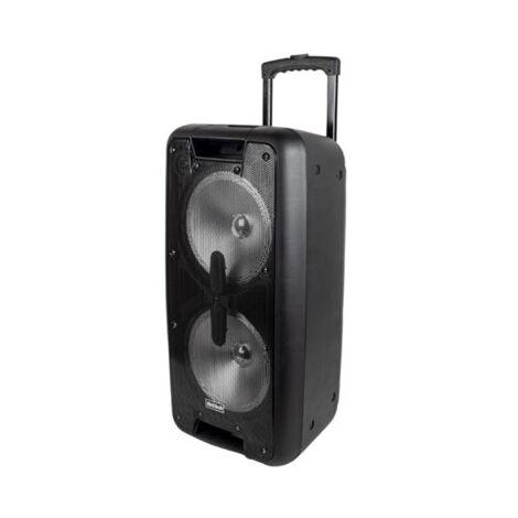 בידורית קריוקי Richtech RT73 למכירה 