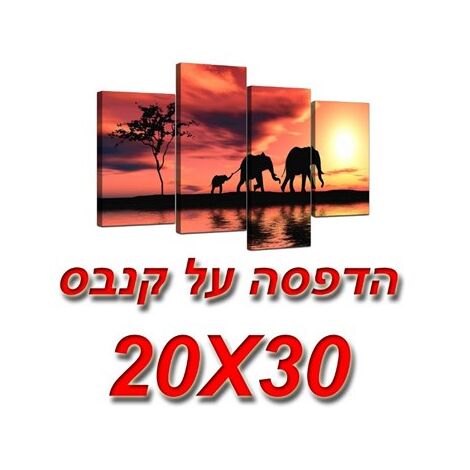 הדפסה בגודל 20X30 קנבס  תמונה בודדת למכירה 