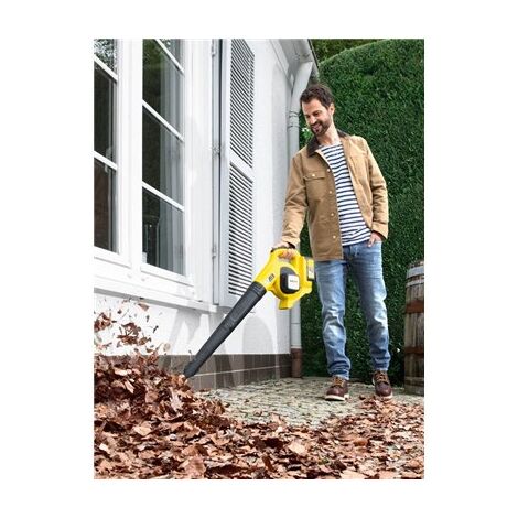 מפוח עלים Karcher LBL4 1.445-160.0 קארשר למכירה , 3 image