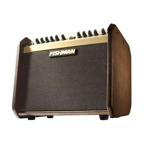 מגבר לגיטרה אקוסטית Fishman LOUDBOX MINI למכירה , 2 image