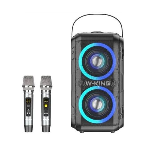 בידורית T9II + 2 מיקרופונים אלחוטיים W-king למכירה 