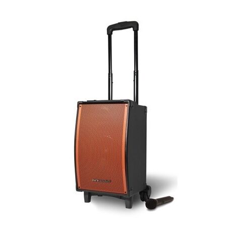 בידורית Pure Acoustics MCP-100 למכירה , 2 image
