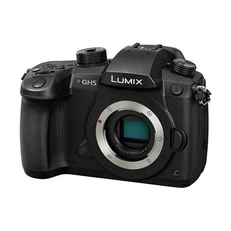 מצלמה  ללא מראה Panasonic Lumix DC-GH5 פנסוניק למכירה , 2 image