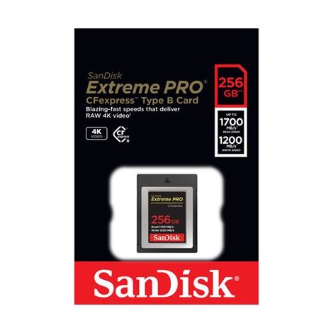 כרטיס זיכרון SanDisk Extreme Pro SDCFE-256G 256GB Compact Flash סנדיסק למכירה , 2 image