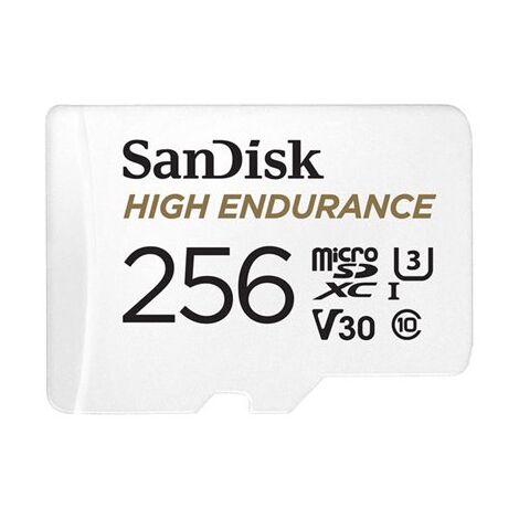 כרטיס זיכרון SanDisk Micro SDXC 256GB SDSQQNR-256G 256GB Micro SD סנדיסק למכירה 