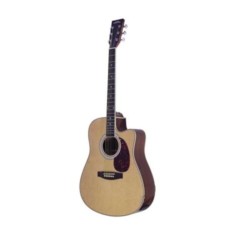 גיטרה אקוסטית Walden AG450C למכירה 