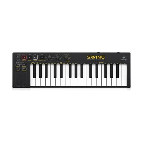 סינתסייזר Behringer Swing ברינגר למכירה , 2 image