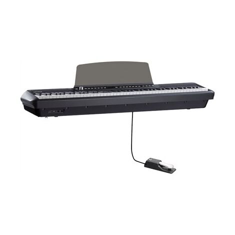 פסנתר חשמלי Pearl River p200 למכירה , 7 image