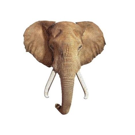 פאזל I Am Elephant 700 חלקים Madd Capp למכירה 