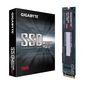 כונן SSD   פנימי Gigabyte GP-GSM2NE3256GNTD 256GB למכירה 