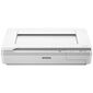סורק Epson WorkForce DS-50000 אפסון למכירה , 2 image