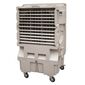 מצנן אוויר מצנן תעשייתי 12,000 L.C mrgan למכירה , 2 image