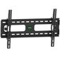 מתקן תליה לטלוויזיה PLB600T Audio Line למכירה 