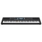 אורגנית Yamaha PSREW310 ימאהה למכירה 