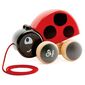 E0362 LADYBUG PULL ALONG מעודד הליכה חיפושית Hape למכירה 