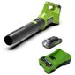 מפוח עלים 99506/10 Greenworks למכירה , 2 image