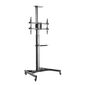 מתקן נייד למסכים TTV03-46TW Lumi Brateck למכירה , 2 image