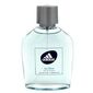 בושם לגבר אדידס Ice Dive 100ml E.D.T למכירה , 2 image