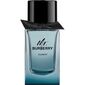 בושם לגבר Burrberry Mr Burberry Element E.D.T 100ml למכירה 