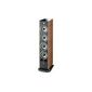 זוג רמקולים רצפתיים JMlab/Focal ARIA 936 למכירה 