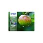 מארז ראשי דיו  צהוב שחור כחול אדום Epson T1295 Pack 4 pck C13T12954012 אפסון למכירה , 2 image