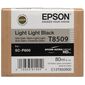 T850900 LLK C13T850900 Epson אפסון למכירה , 2 image