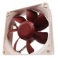 מאוורר למארז NOCTUA NF-R8 למכירה , 2 image