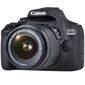 מצלמה רפלקס DSLR  Canon EOS 2000D / EOS Rebel T7 קנון למכירה , 4 image